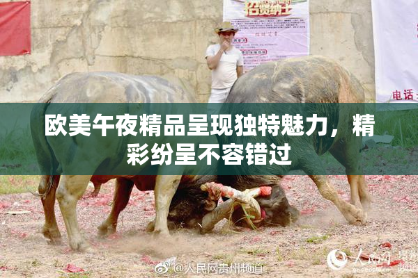 欧美午夜精品呈现独特魅力，精彩纷呈不容错过