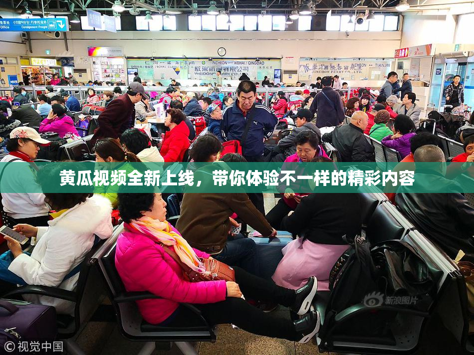 黄瓜视频全新上线，带你体验不一样的精彩内容