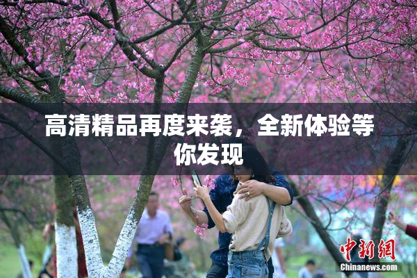 高清精品再度来袭，全新体验等你发现