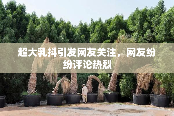 超大乳抖引发网友关注，网友纷纷评论热烈