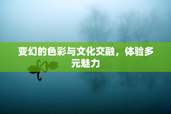变幻的色彩与文化交融，体验多元魅力