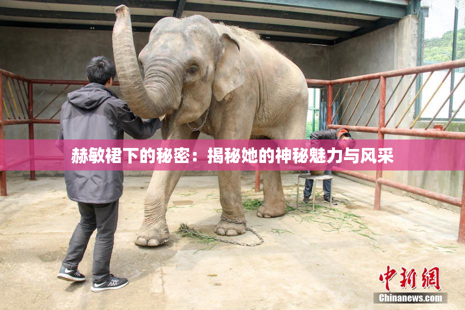赫敏裙下的秘密：揭秘她的神秘魅力与风采
