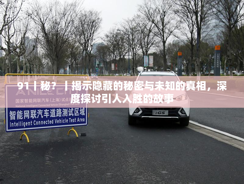 91丨秘？丨揭示隐藏的秘密与未知的真相，深度探讨引人入胜的故事