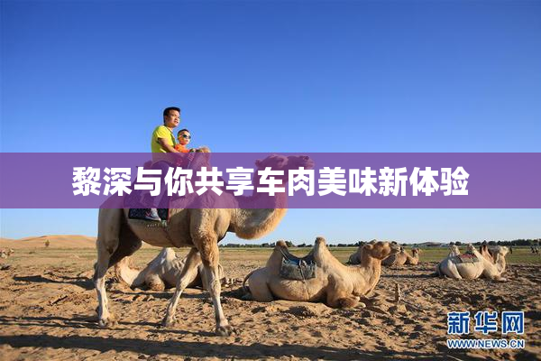 黎深与你共享车肉美味新体验