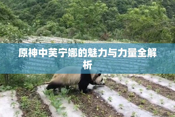 原神中芙宁娜的魅力与力量全解析