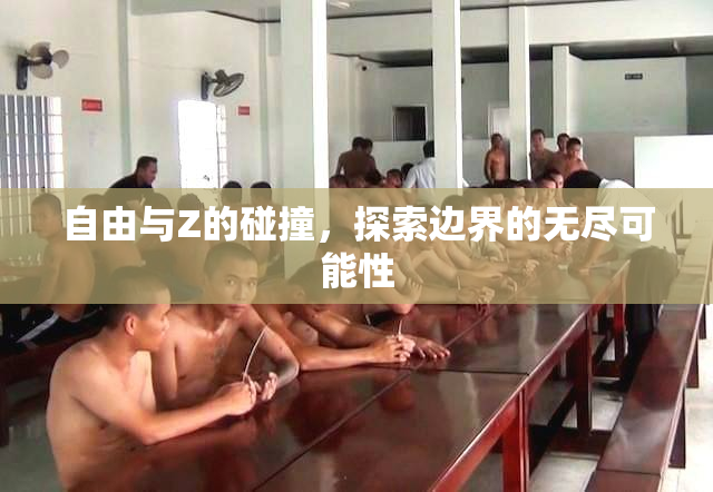 自由与Z的碰撞，探索边界的无尽可能性