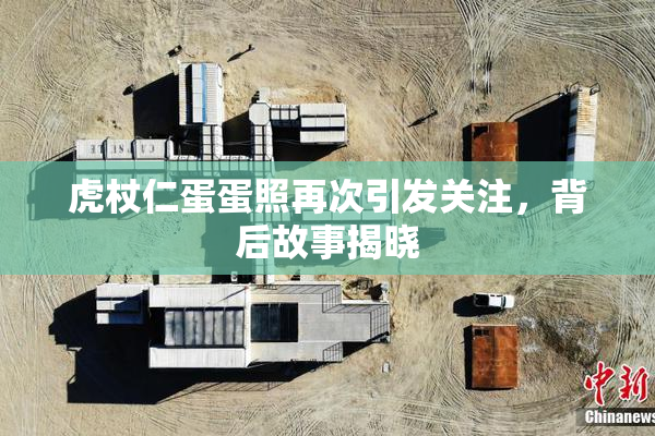 虎杖仁蛋蛋照再次引发关注，背后故事揭晓