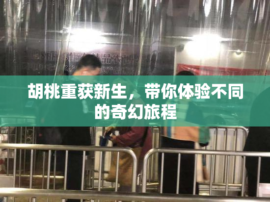 胡桃重获新生，带你体验不同的奇幻旅程