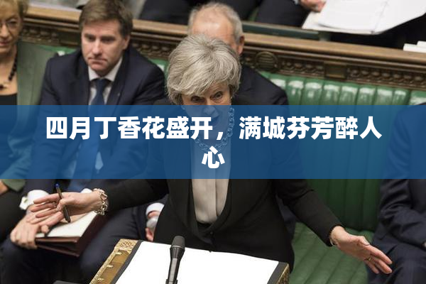四月丁香花盛开，满城芬芳醉人心
