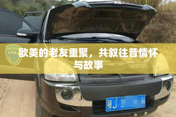 欧美的老友重聚，共叙往昔情怀与故事