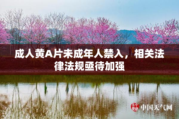 成人黄A片未成年人禁入，相关法律法规亟待加强