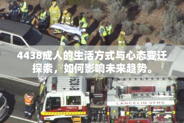 4438成人的生活方式与心态变迁探索，如何影响未来趋势。