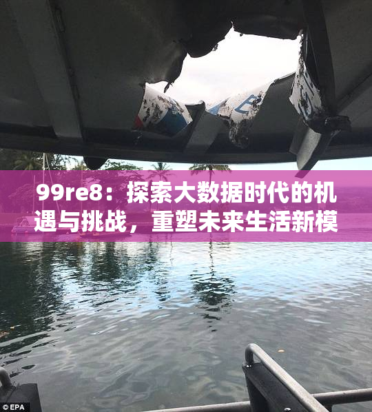 99re8：探索大数据时代的机遇与挑战，重塑未来生活新模式。