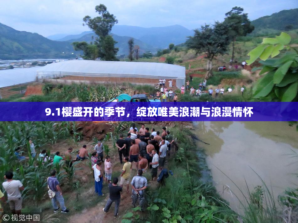 9.1樱盛开的季节，绽放唯美浪潮与浪漫情怀