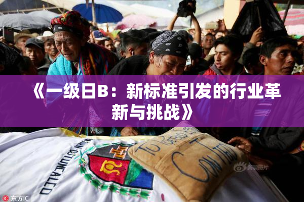 《一级日B：新标准引发的行业革新与挑战》