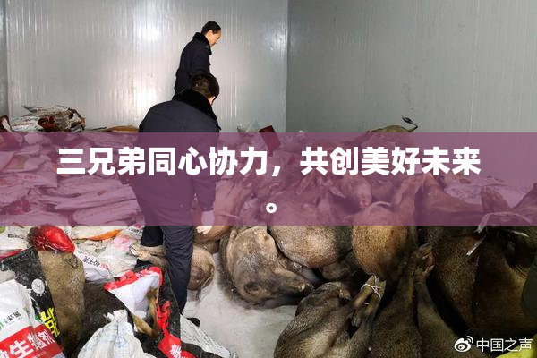 三兄弟同心协力，共创美好未来。