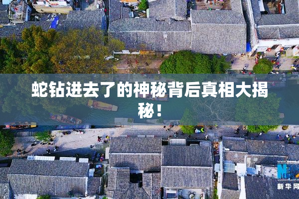 蛇钻进去了的神秘背后真相大揭秘！