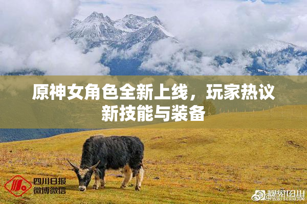 原神女角色全新上线，玩家热议新技能与装备