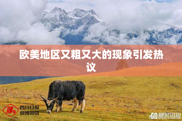 欧美地区又粗又大的现象引发热议