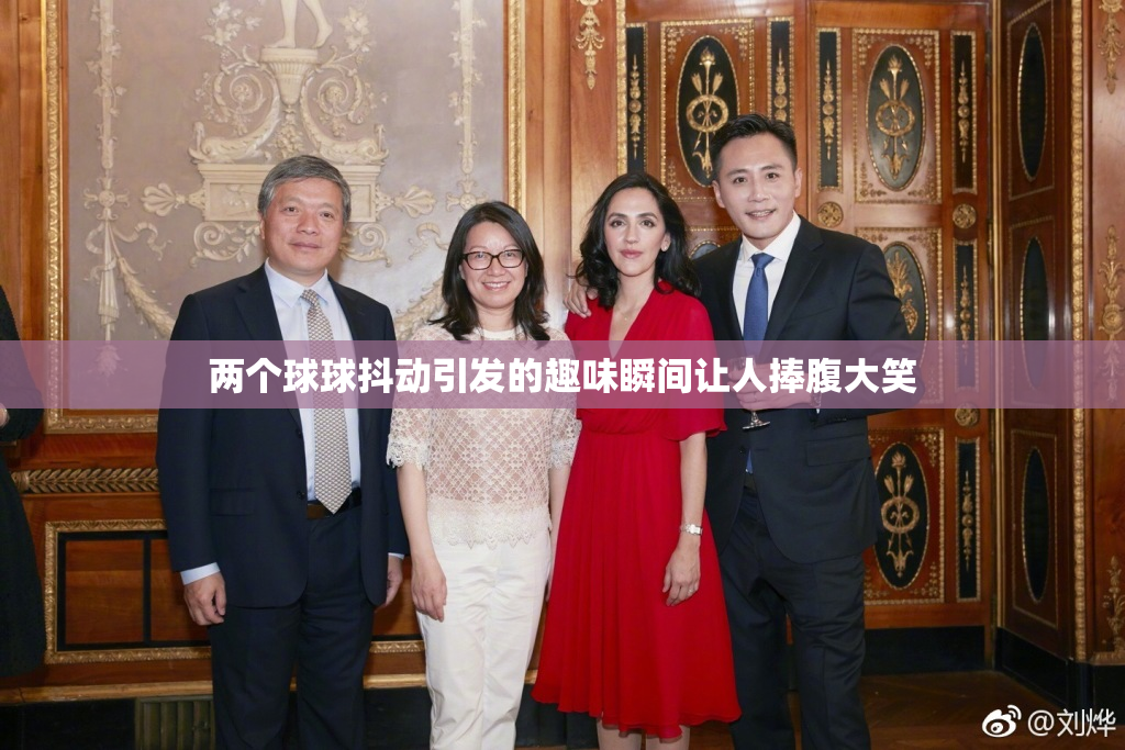 两个球球抖动引发的趣味瞬间让人捧腹大笑