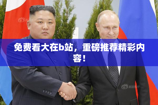 免费看大在b站，重磅推荐精彩内容！