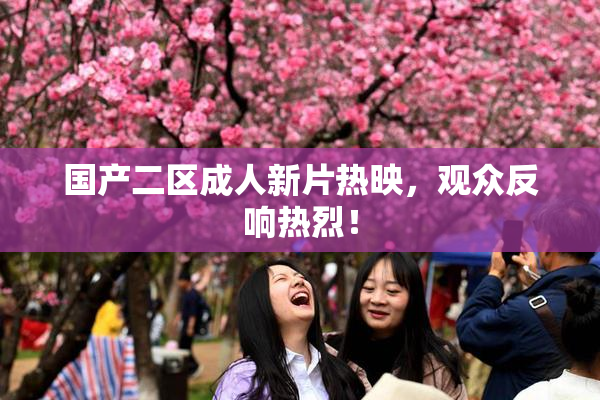 国产二区成人新片热映，观众反响热烈！