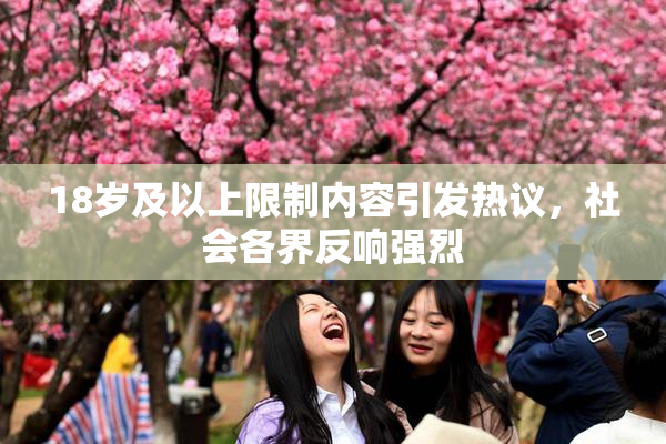 18岁及以上限制内容引发热议，社会各界反响强烈