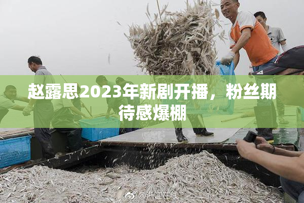 赵露思2023年新剧开播，粉丝期待感爆棚