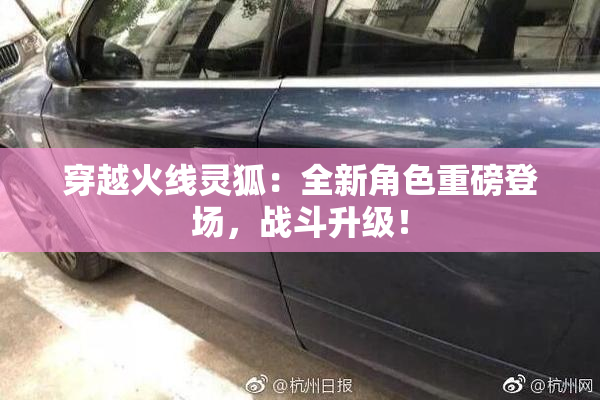 穿越火线灵狐：全新角色重磅登场，战斗升级！