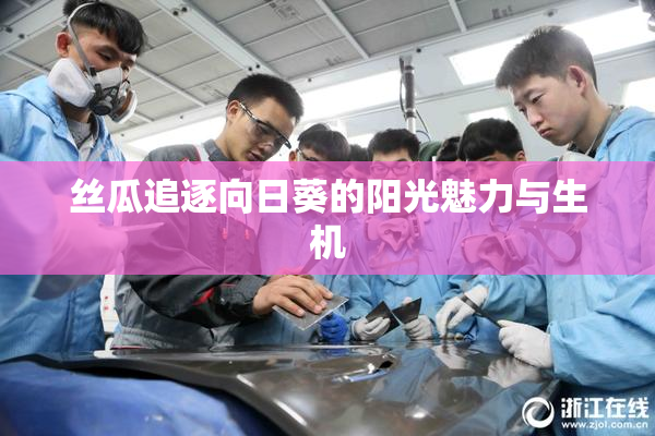 丝瓜追逐向日葵的阳光魅力与生机