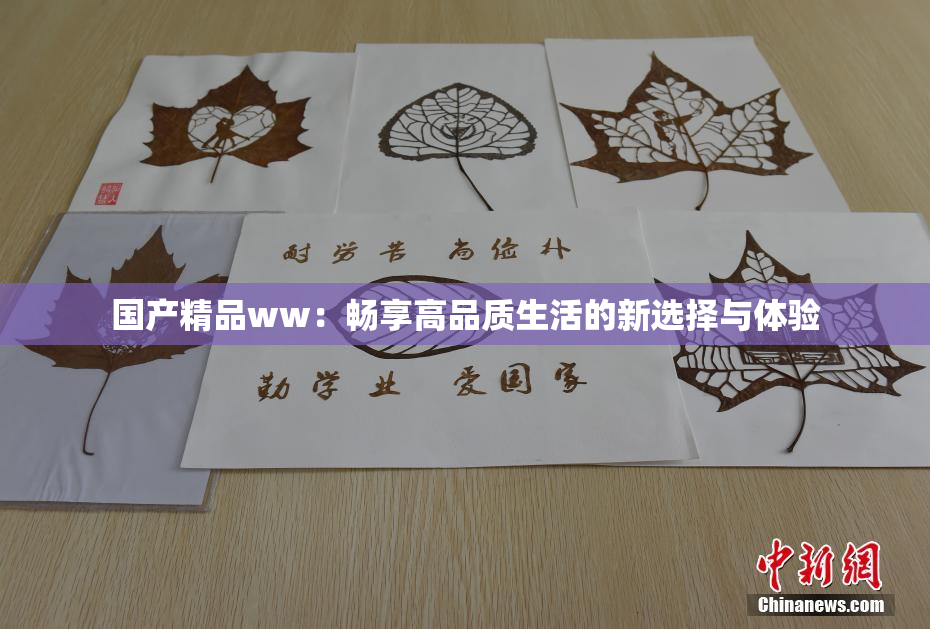 国产精品ww：畅享高品质生活的新选择与体验