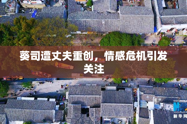 葵司遭丈夫重创，情感危机引发关注