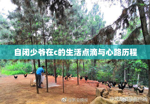 自闭少爷在c的生活点滴与心路历程