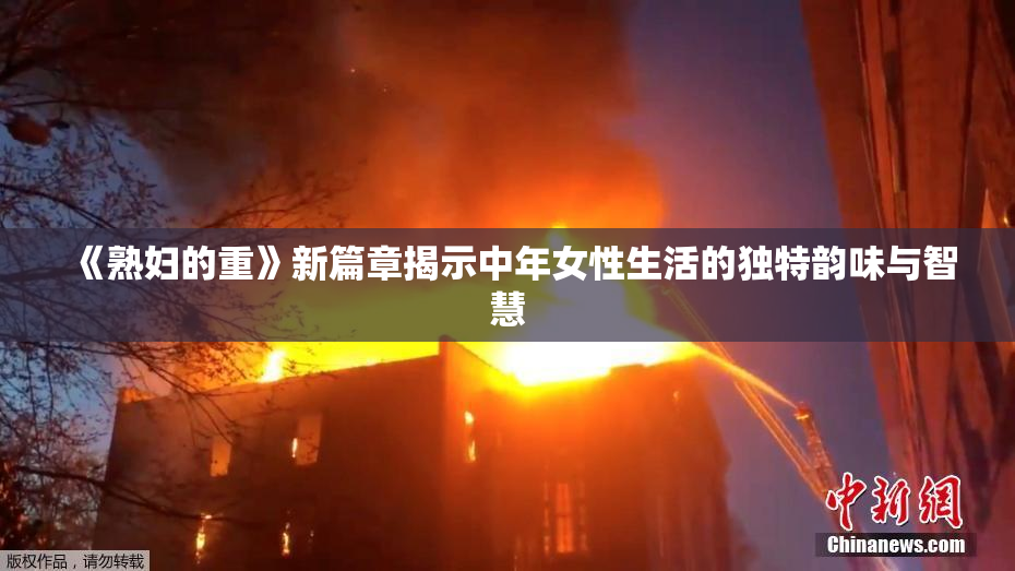 《熟妇的重》新篇章揭示中年女性生活的独特韵味与智慧