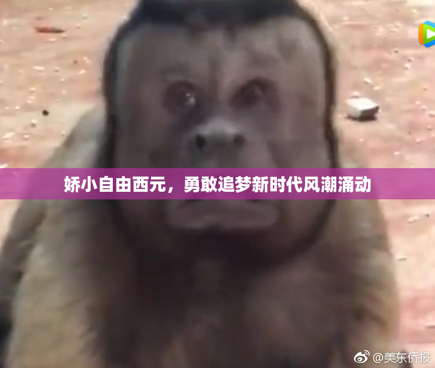 娇小自由西元，勇敢追梦新时代风潮涌动