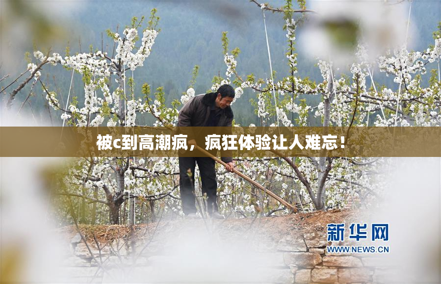 被c到高潮疯，疯狂体验让人难忘！