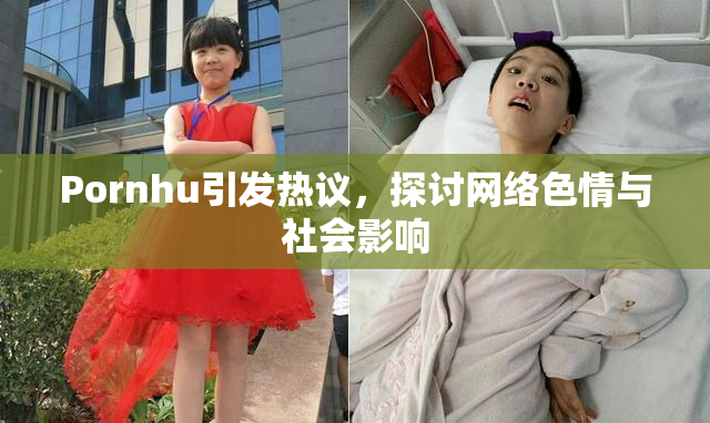 Pornhu引发热议，探讨网络色情与社会影响