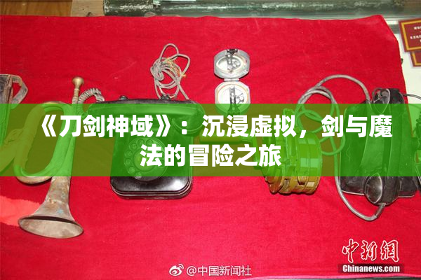 《刀剑神域》：沉浸虚拟，剑与魔法的冒险之旅