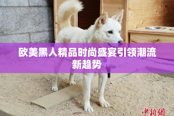 欧美黑人精品时尚盛宴引领潮流新趋势