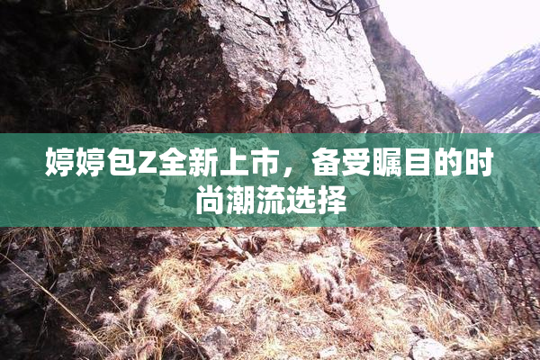 婷婷包Z全新上市，备受瞩目的时尚潮流选择
