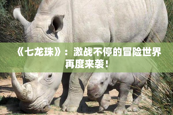 《七龙珠》：激战不停的冒险世界再度来袭！