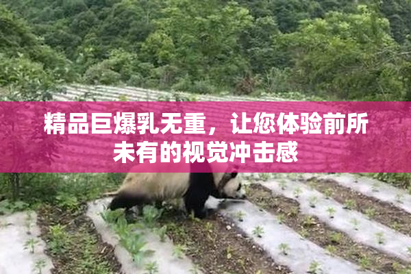 精品巨爆乳无重，让您体验前所未有的视觉冲击感