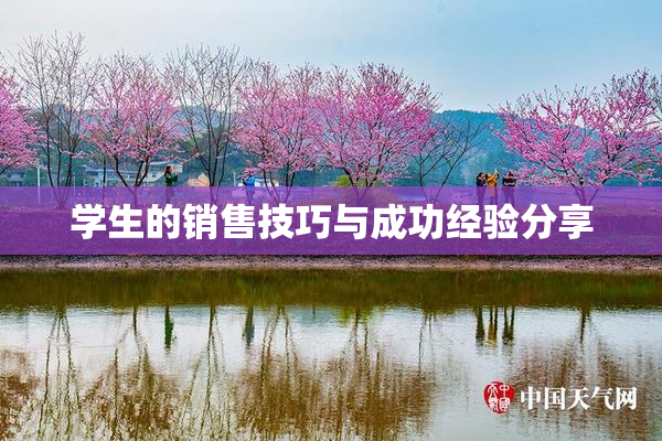 学生的销售技巧与成功经验分享