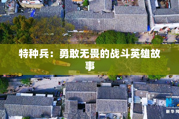 特种兵：勇敢无畏的战斗英雄故事