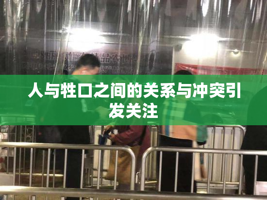 人与牲口之间的关系与冲突引发关注