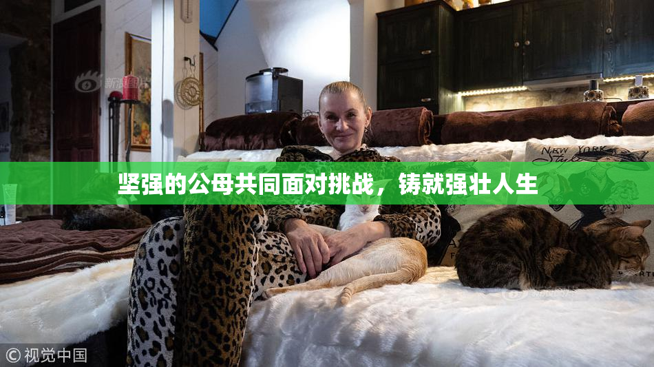 坚强的公母共同面对挑战，铸就强壮人生