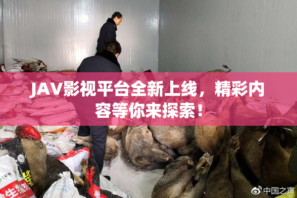 JAV影视平台全新上线，精彩内容等你来探索！