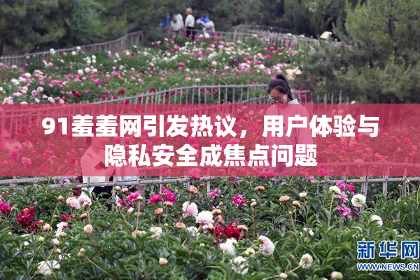 91羞羞网引发热议，用户体验与隐私安全成焦点问题