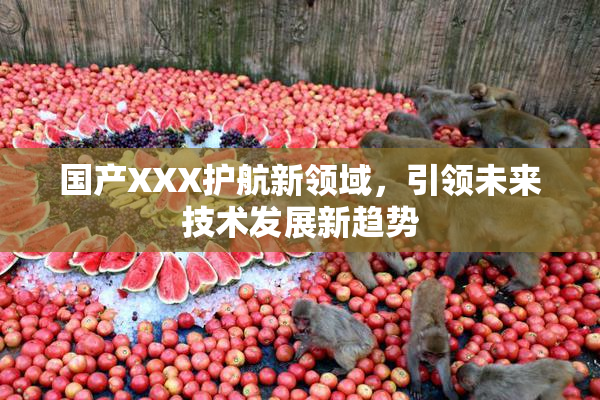国产XXX护航新领域，引领未来技术发展新趋势