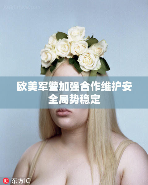 欧美军警加强合作维护安全局势稳定